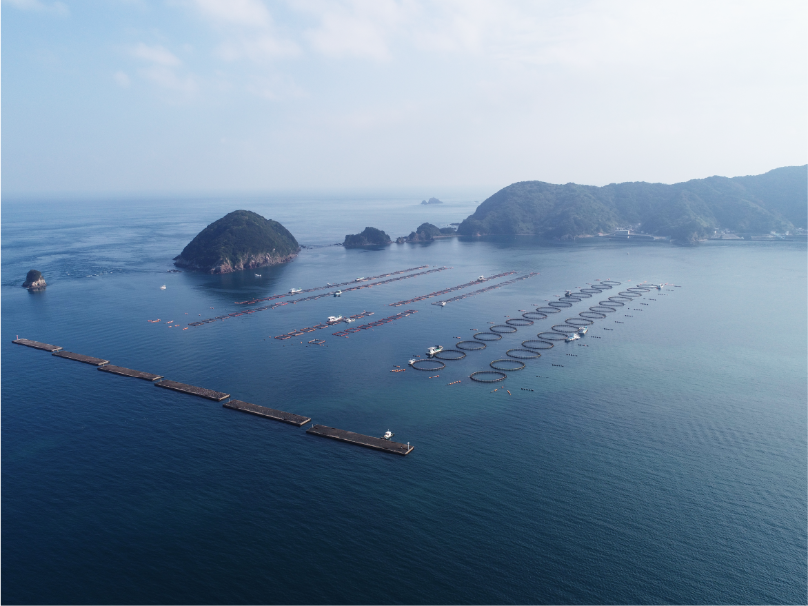養殖漁場整備工事